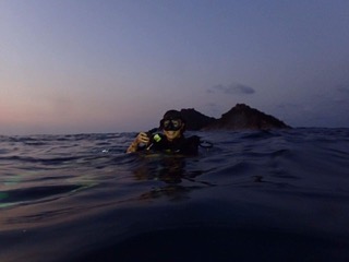 night dive 2