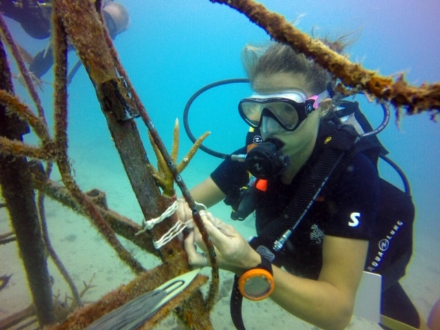 Coral Planting Eco